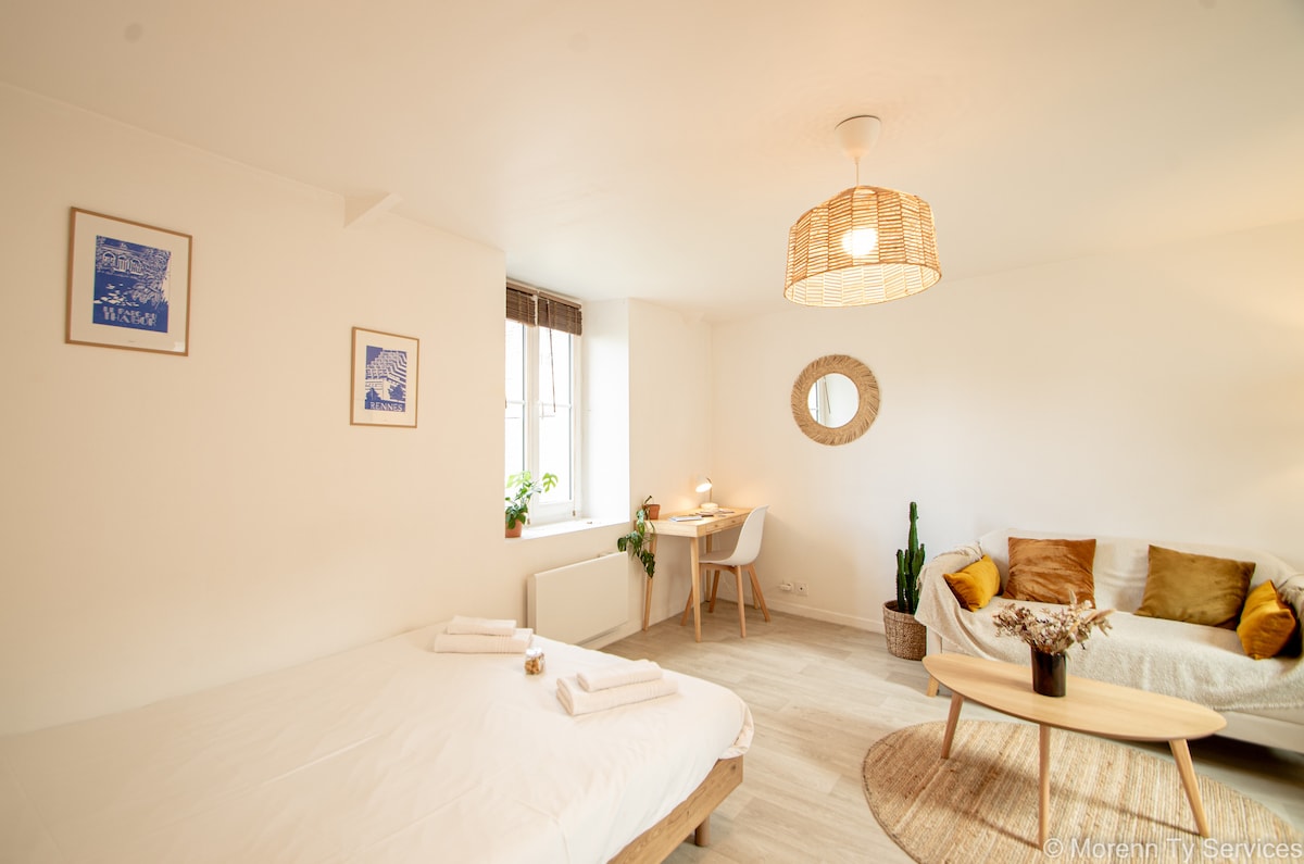 Propriété Airbnb réussie: Quiet and cozy downtown studio with parking à Cleunay Arsenal Redon
