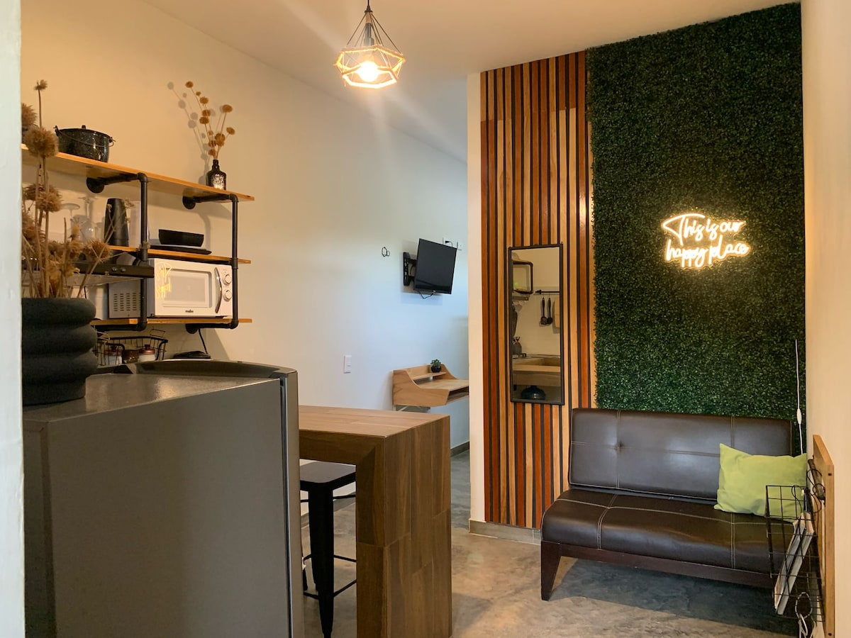 The interior features a cozy sitting area with a brown sofa and decorative green wall. A small wooden dining table is visible next to a compact kitchen equipped with essential appliances, including a microwave. A television is mounted on the wall for entertainment.