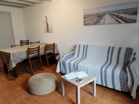 Top Airbnb: Small house on the beach side, 1 star "furnished tourism" à Mimizan