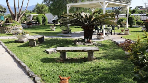 Enchanted garden a stone's throw from the center