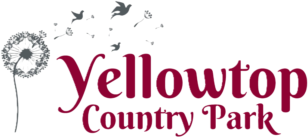 The logo of Yellowtop Country Park features a dandelion with seeds being blown away by a gentle breeze. The park's name is presented in bold, maroon letters, enhancing its welcoming identity.