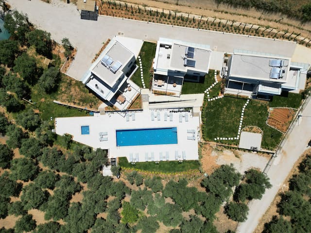 Theseus Villa
