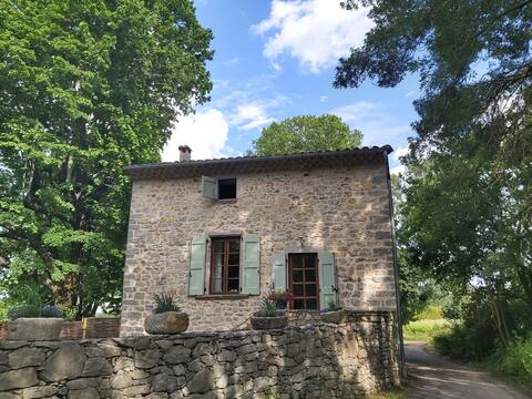 Old watermill with private garden, Mas du moulin neuf