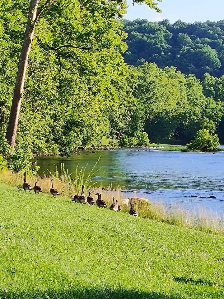 Little River Escape-hot Tub -River Front-fishing - Shenandoah, VA
