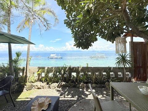Entire Beachfront Villa Near Sardines Run—Moalboal