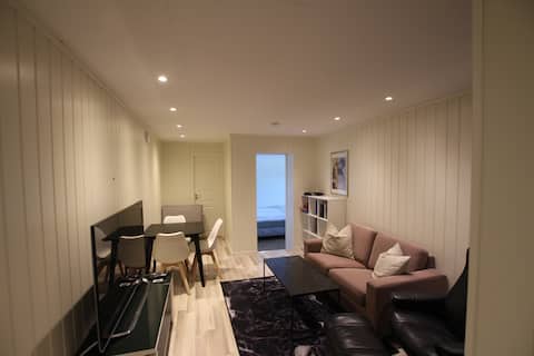 Cozy apartment a short distance from E6