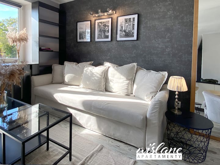 Šioje erdvėje yra didelė, patogi sofa su miegojimo ir laikymo funkcija. Miegojimo vieta 160 x 200 cm. 
Spintoje paslėptos papildomos antklodės ir pagalvės. 