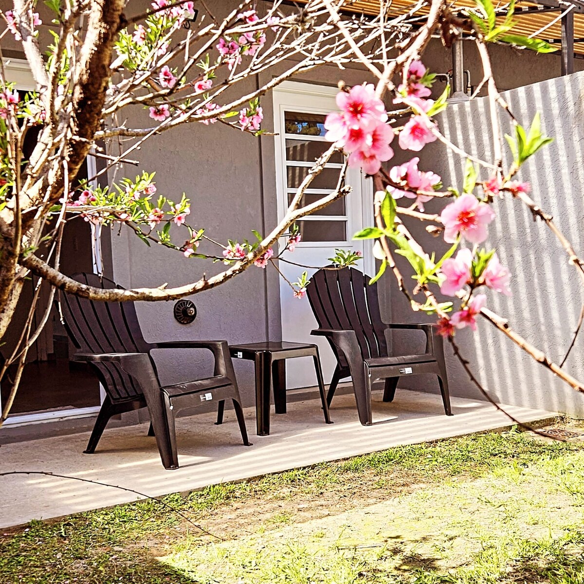 A serene outdoor space features two black chairs and a small table, positioned on a patio. A flowering branch with pink blossoms frames the scene, adding a touch of nature to the inviting area.