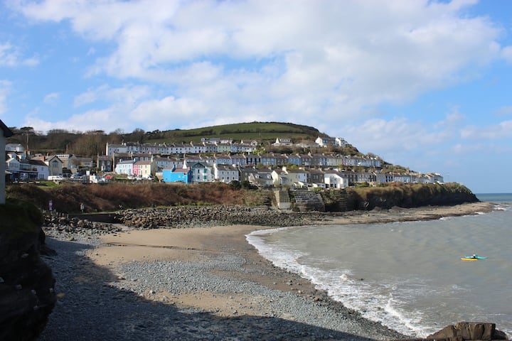 Ground Floor Apartment, New Quay - New Quay