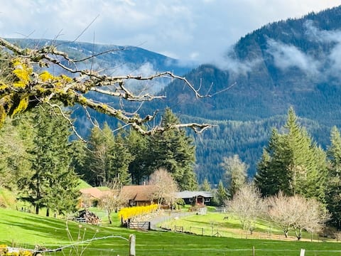 Sauna & River Views, Cozy Farmstead Haven