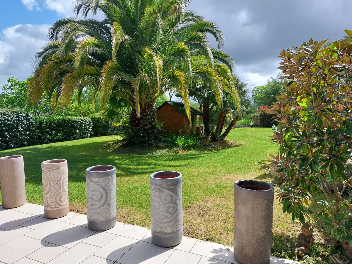 A landscaped garden is visible, featuring a grassy area surrounded by lush greenery and a tall palm tree. The scene includes decorative planters arranged in a row on a paved surface, with a wooden shed positioned in the background.