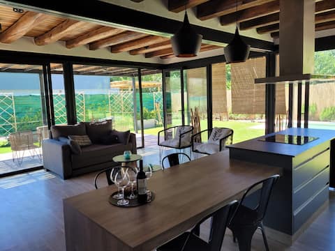 A house among wineries on the Malbec Route