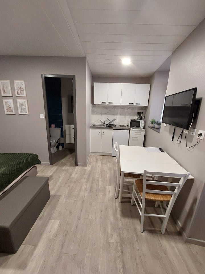 En Centre Ville, Rez De Chaussée Studio éQuipé. - Saint-Affrique
