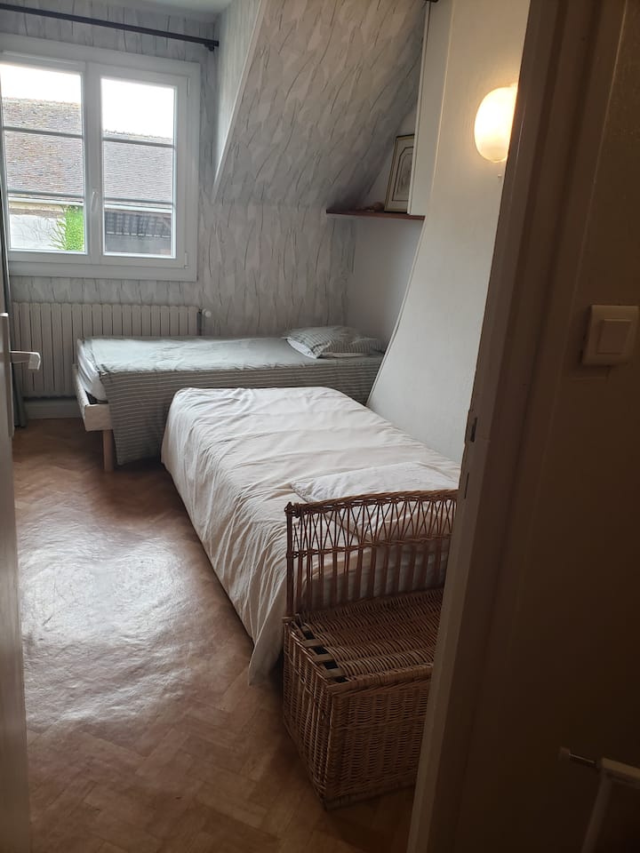 Deux lits 90 X 190     pour adolescents ou adultes  pourquoi pas ?   Les lits  sont proches  et  les matelas sont confortables  . 