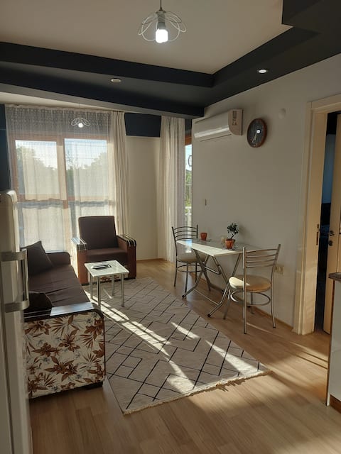 1+1 apartment with balcony, clean, spacious, peaceful, comfortable