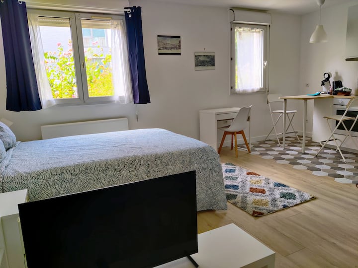 Un Studio Calme Et Soigné, Aux Portes De Paris - Cachan