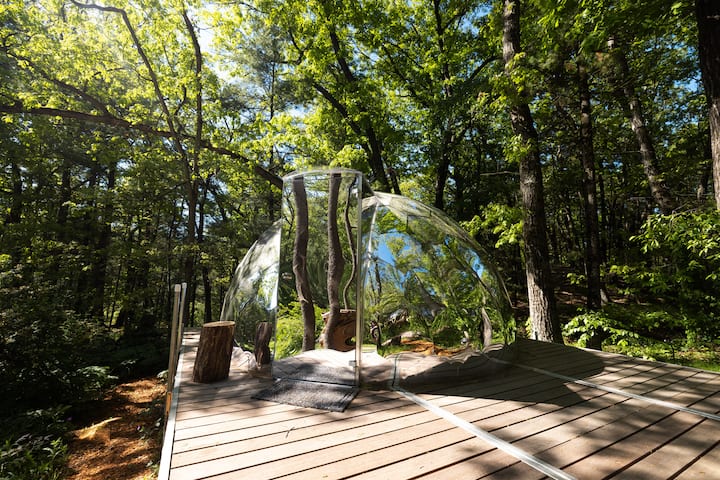 Dells Domes- Woodland Haven -Dome 3 - Wisconsin Dells, WI