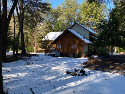 Cabin in the middle of Native Forest