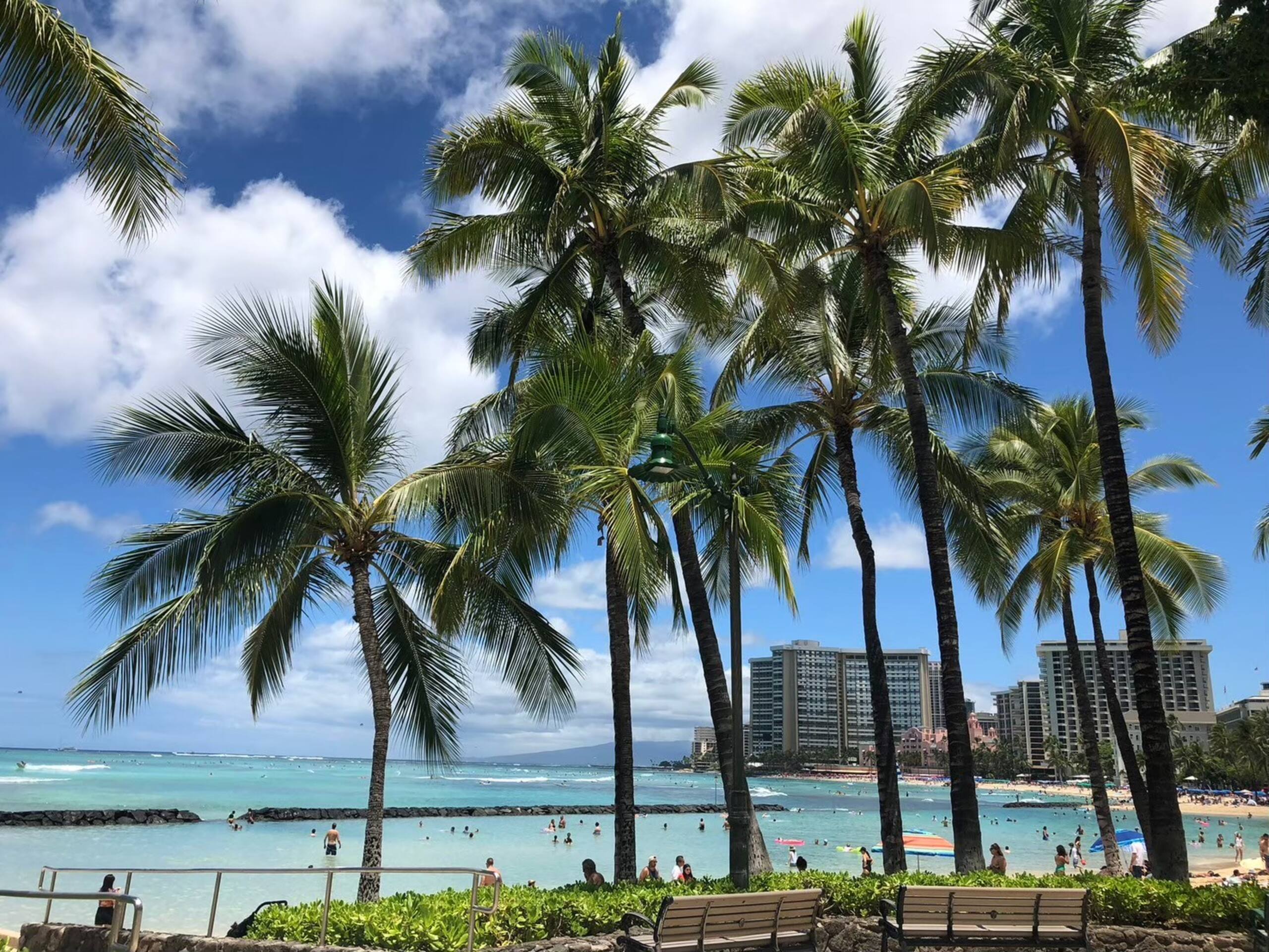 Condo in Honolulu · ★4.63 · Studio · 2 beds · 1 private bath - Image 41