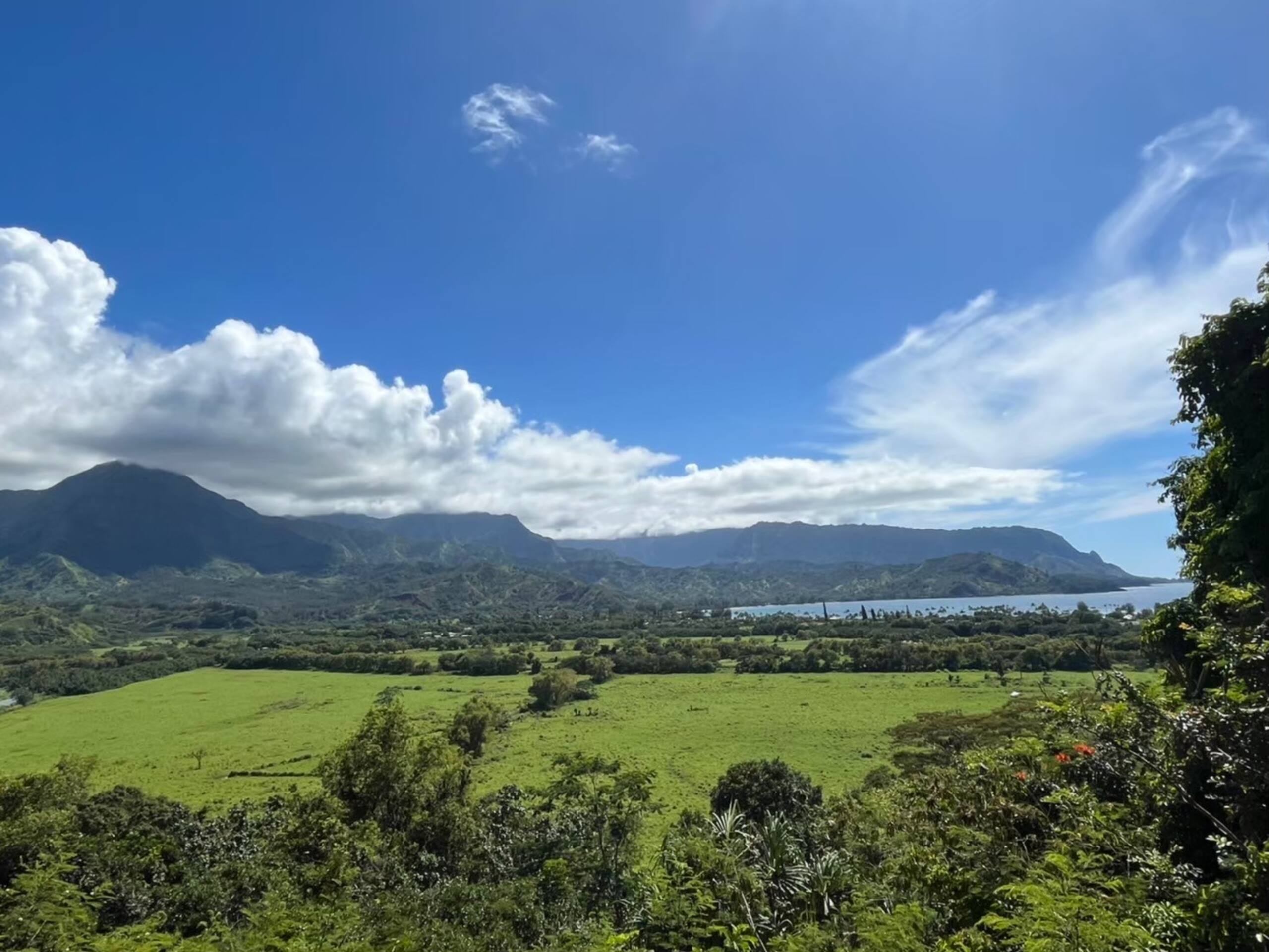 Condo in Honolulu · ★4.63 · Studio · 2 beds · 1 private bath - Image 40