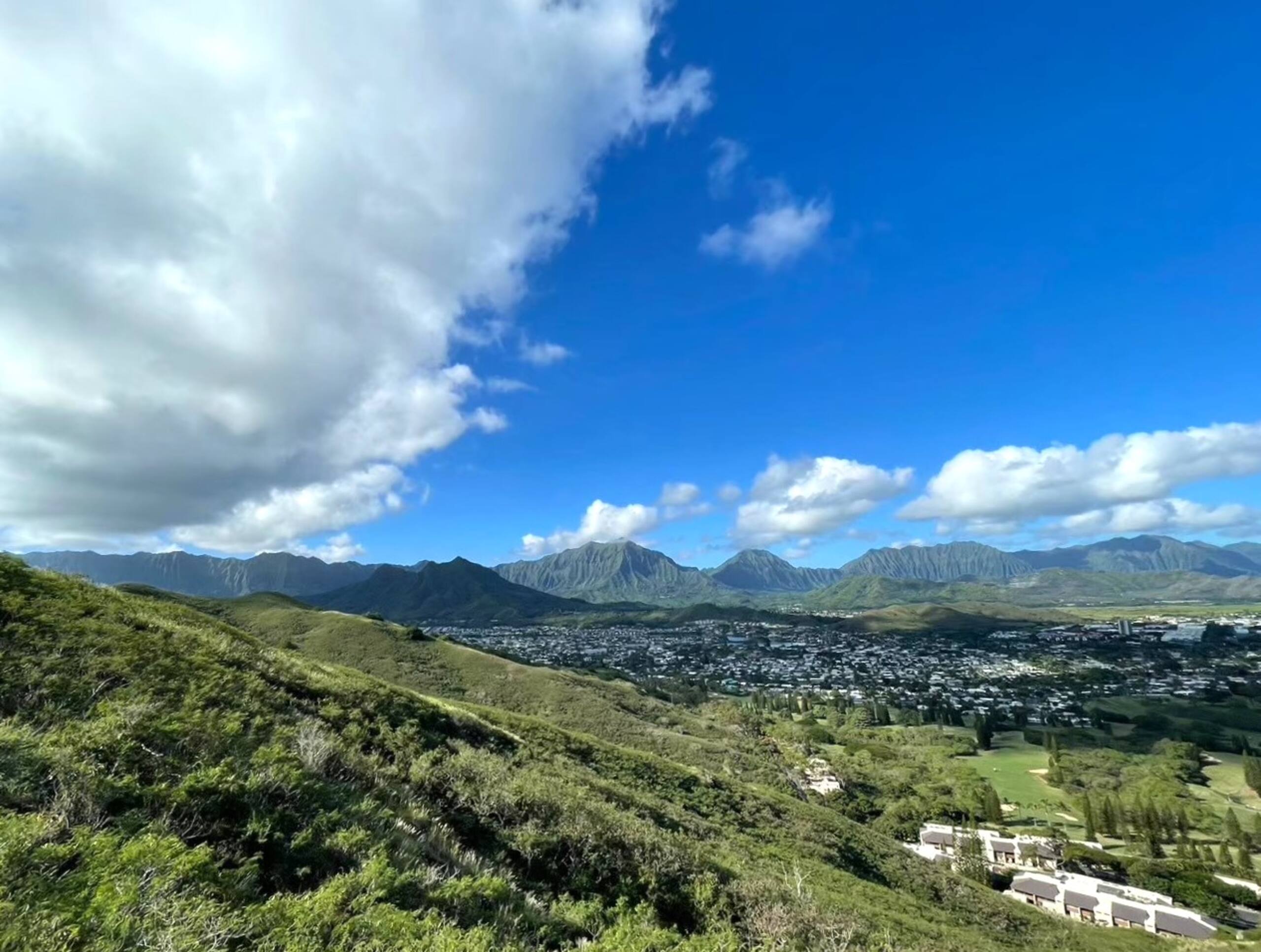 Condo in Honolulu · ★4.62 · Studio · 2 beds · 1 private bath - Image 33