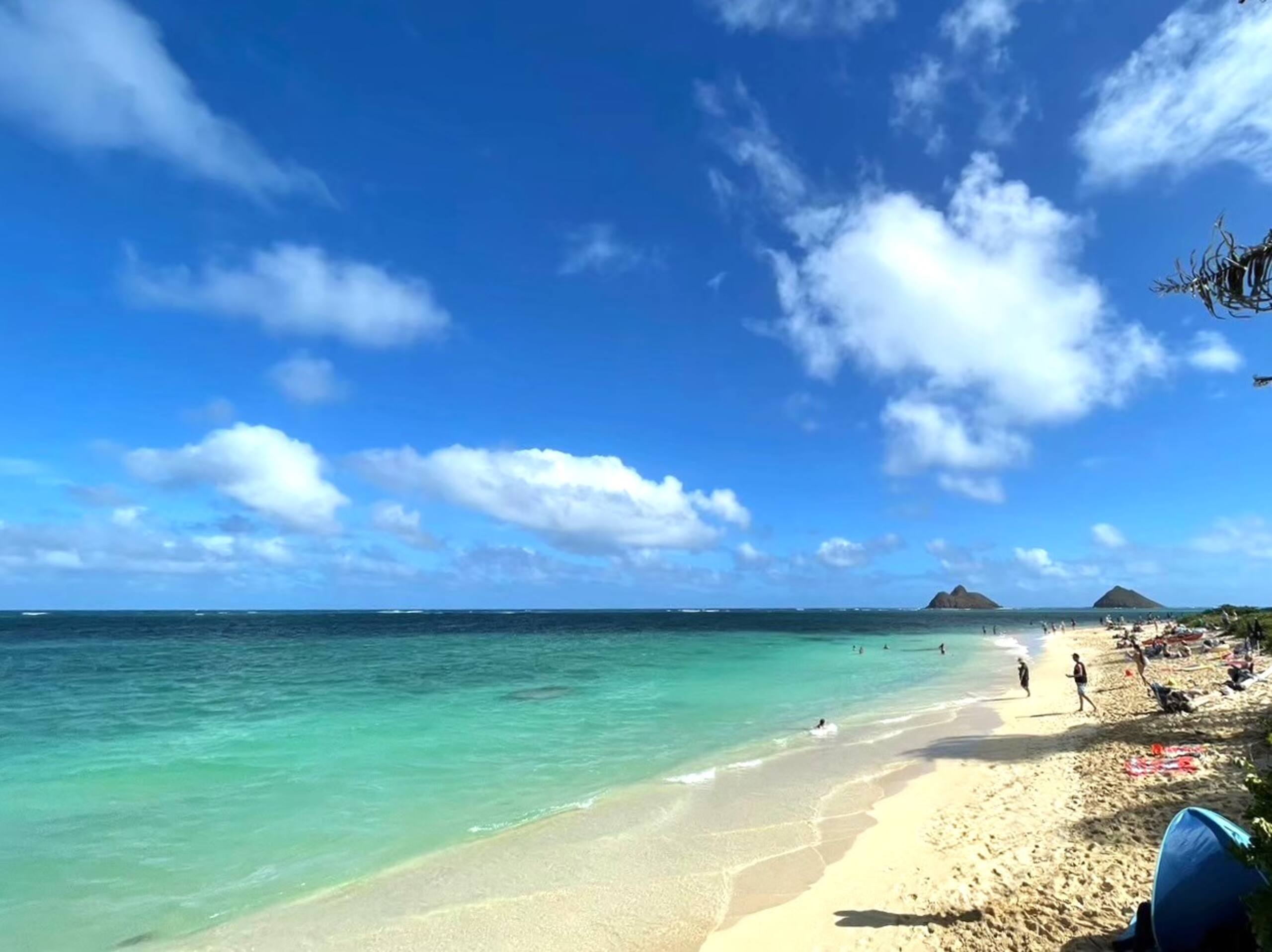 Condo in Honolulu · ★4.69 · Studio · 2 beds · 1 shared bath - Image 39