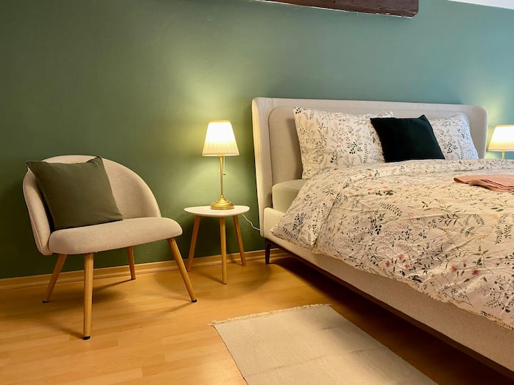 Appartement Charmant Avec Terrasse  Centre - Pirna