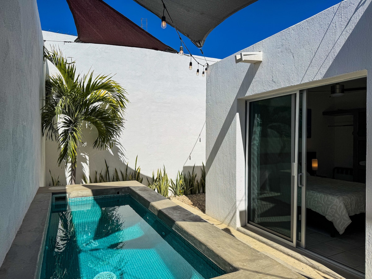 A serene outdoor space features a mini pool with clear blue water, surrounded by clean white walls and a palm tree. Sunlight filters through a shaded area, and string lights are visible, providing a relaxed ambiance. A sliding glass door leads towards an interior sleeping area.