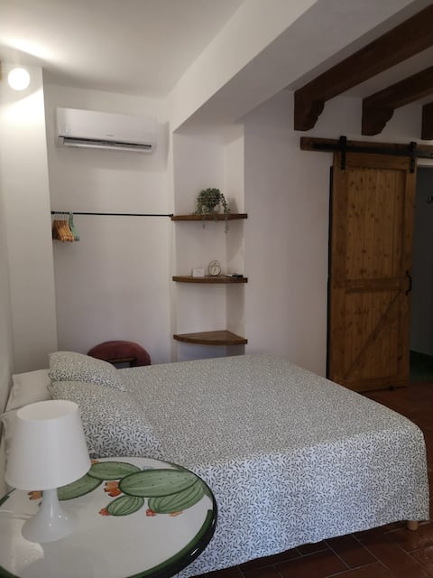 Ficodindia Apartaments - Salvia