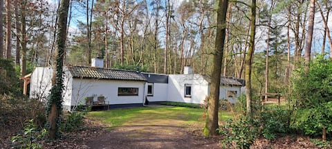 vacation home Knabbel + Babbel