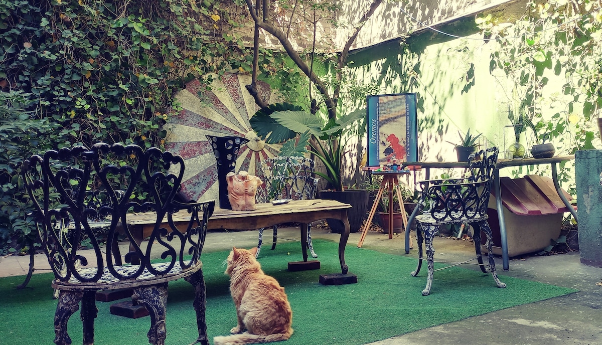 A serene outdoor area features a green carpet under a canopy of plants. Intricately designed iron chairs surround a rustic wooden table. An orange cat rests quietly on the ground, while colorful artwork and a decorative fan are displayed against a vibrant wall.