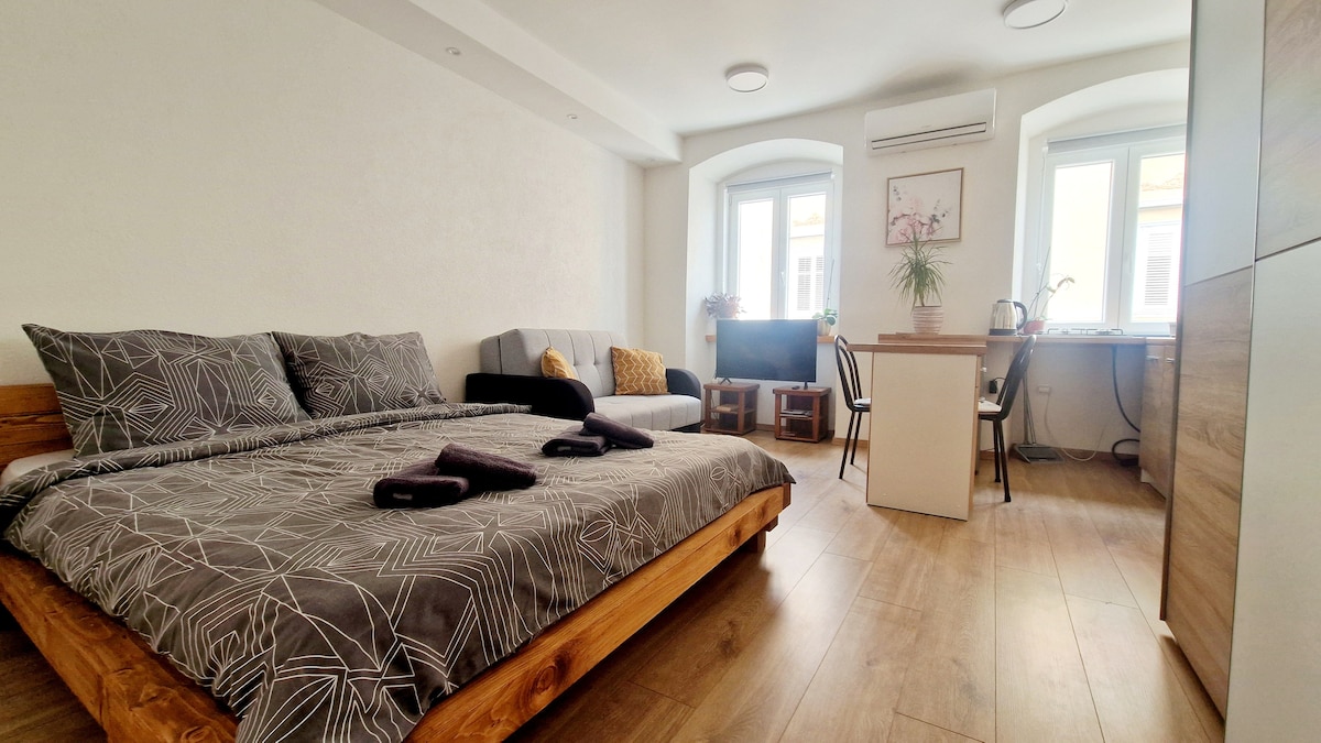 A spacious studio apartment is shown, featuring a wooden bed dressed in patterned bedding. A cozy seating area includes a sofa and TV, while a small dining table is positioned near a window. Natural light enters through the adjacent windows, creating a bright, airy environment.