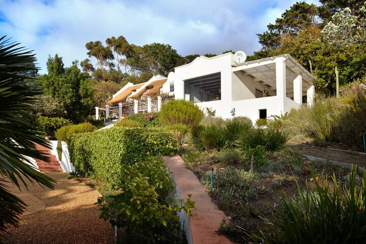 Hout Bay Stay | Large Pool, BBQ & Scenic Views gallery image 2