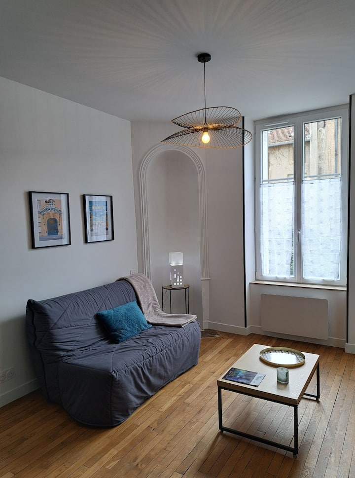 Appartement F2 Paisible De Qualité - ナンシー