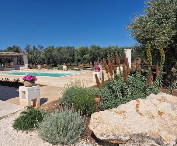 trulli tramontana – private pool gallery image 5