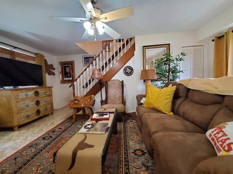 Houston, Texas decor, Pet-Friendly solar/EVcharger