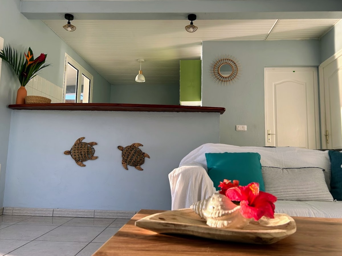 La Baie des Tortues – photo 1