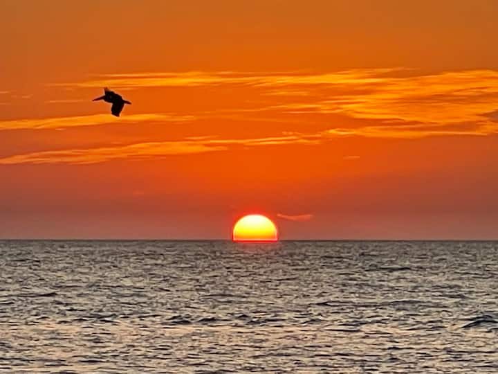 Siesta Sunsets Suite - Siesta Key, FL