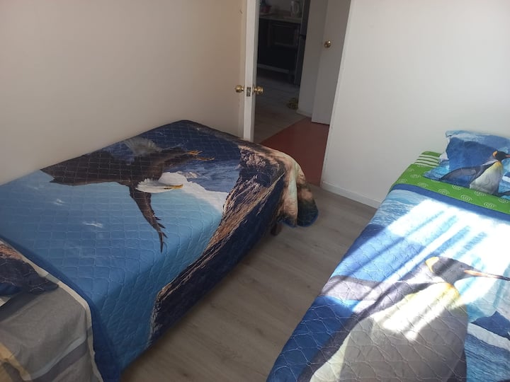 Quarto 2