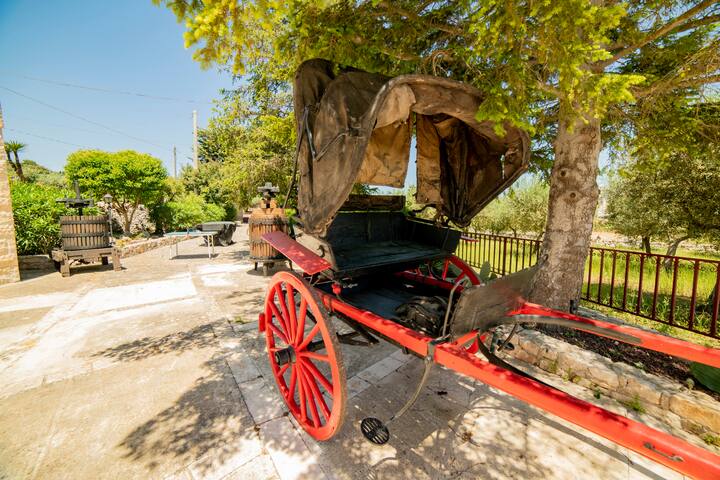 [Locorotondo] Dimora Padronale with pool gallery image 5