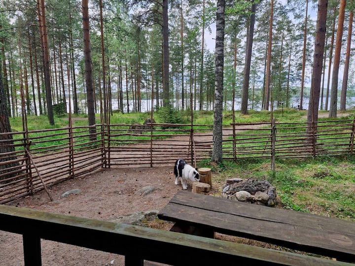 Ekologinen Perusmökki Rautu - Äänekoski