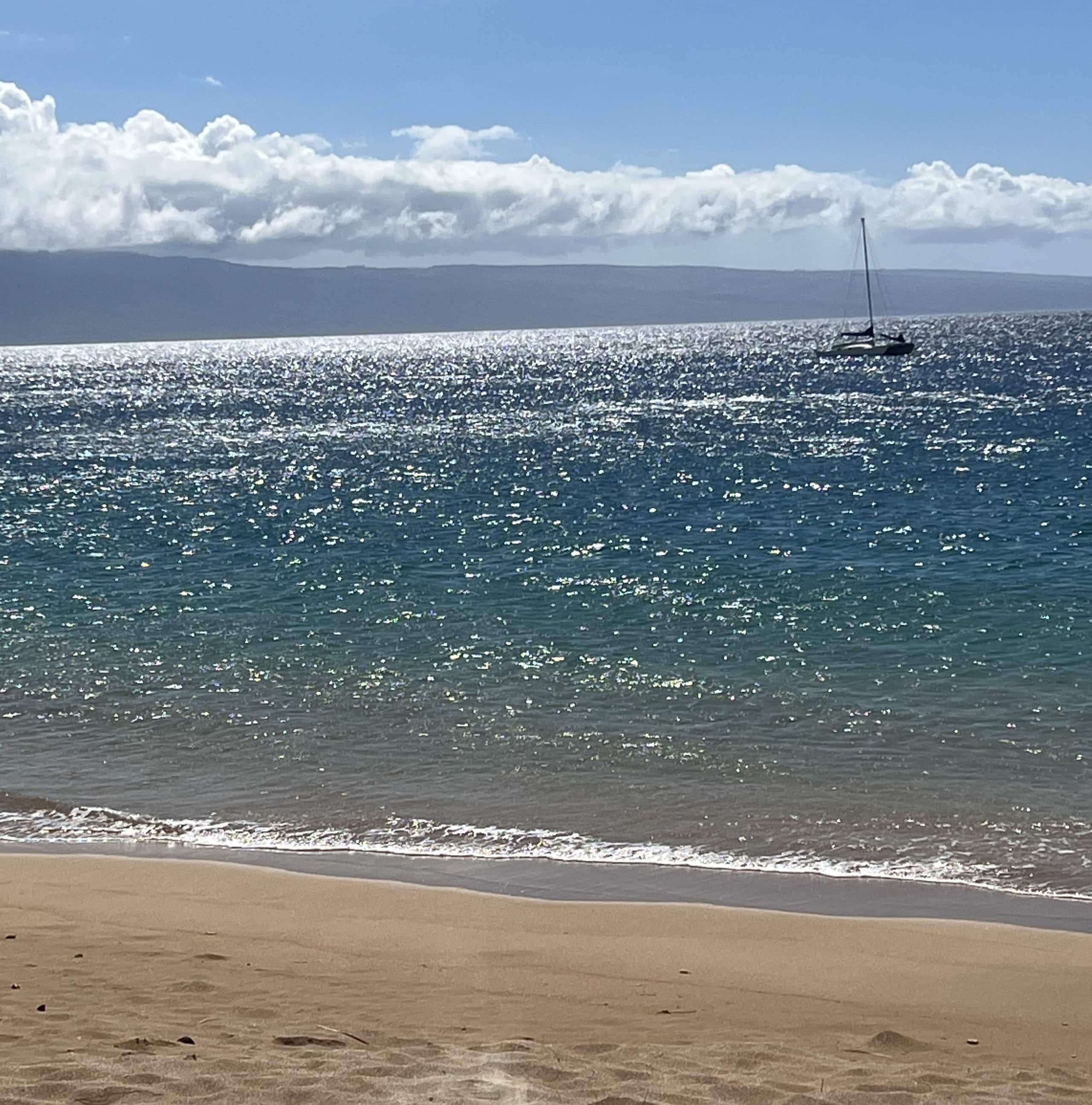 Villa in Lahaina · ★4.98 · 3 bedrooms · 6 beds · 3 baths - Image 26