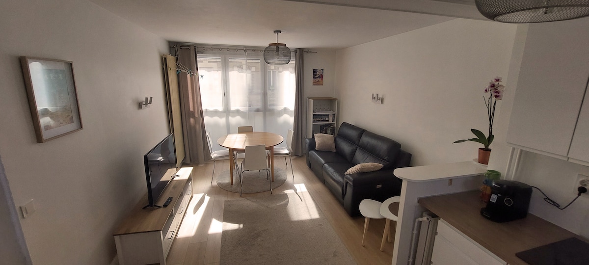 A bright living area is presented, featuring a dark leather sofa and a round dining table with four chairs. Natural light filters through sheer curtains, illuminating the space. A flat-screen television is positioned against the wall, and a small plant adds a touch of greenery.
