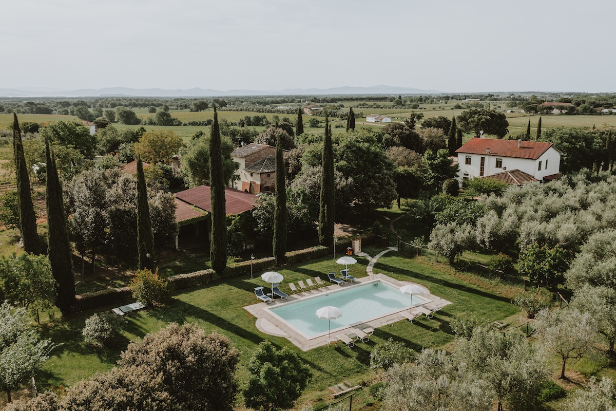 Aerial view of a tranquil agriturismo, showcasing a swimming pool surrounded by lush green lawns and cypress trees. Olive groves and vineyards extend in the background, while a selection of outdoor lounge chairs and umbrellas provide a space for relaxation.