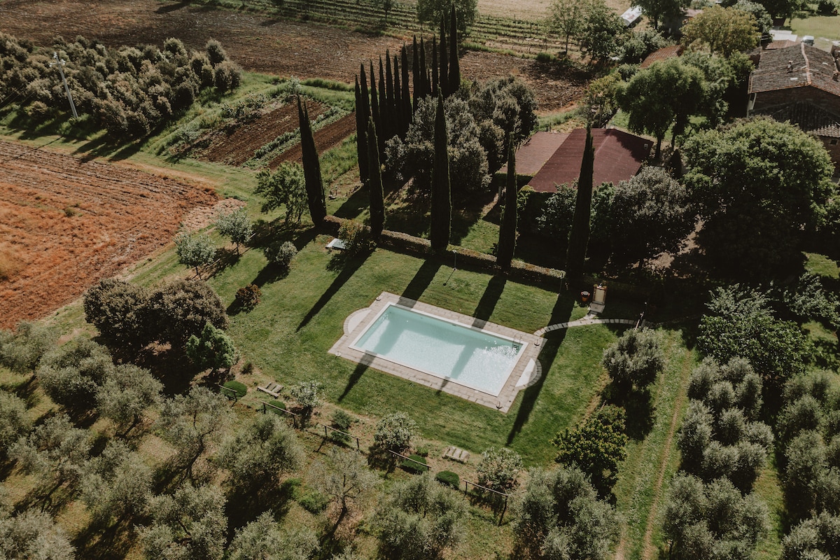 An aerial view captures the expansive outdoor area, featuring a rectangular swimming pool surrounded by manicured grass. Tall cypress trees line one side, and olive trees dot the landscape, providing a serene backdrop to the inviting space.