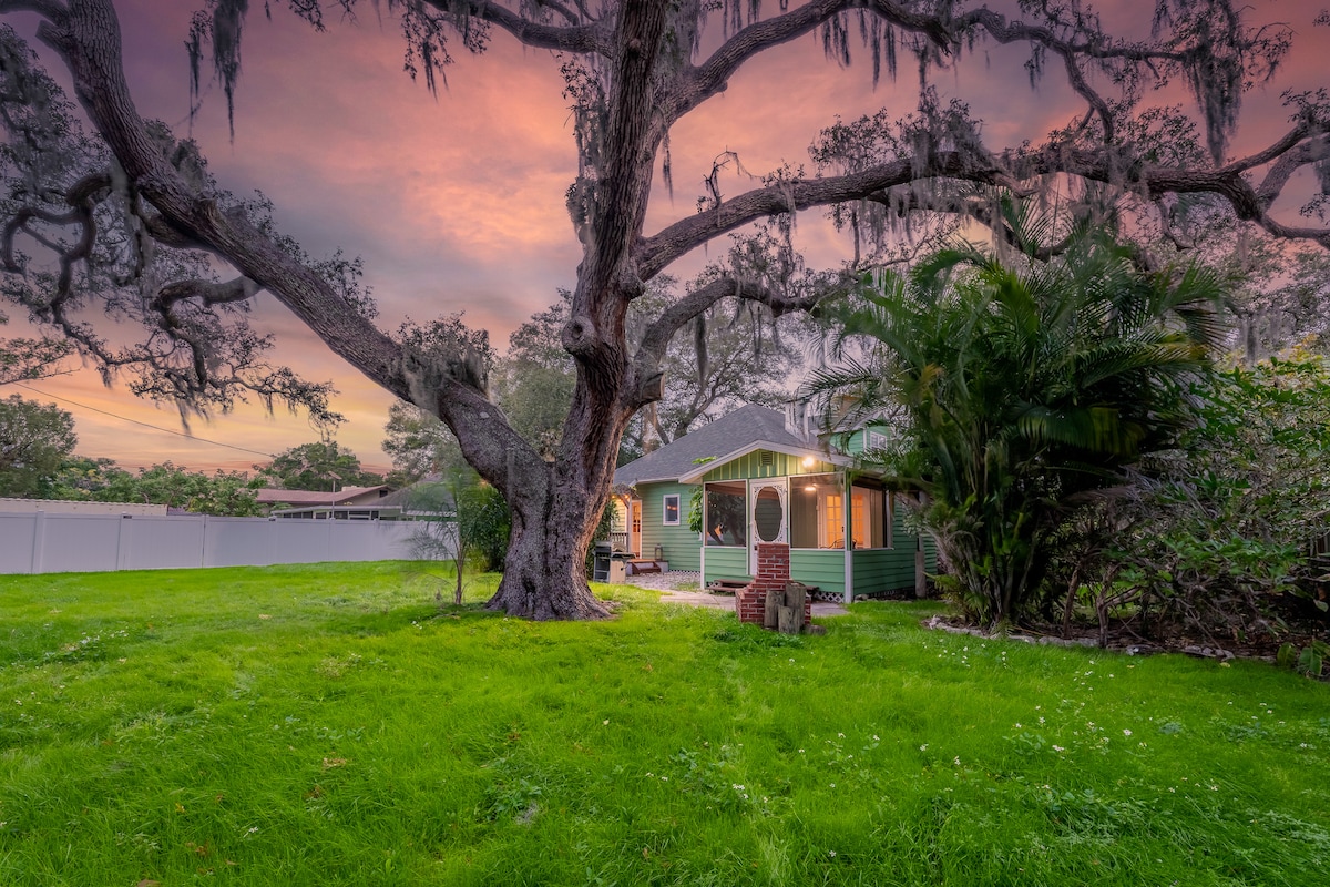 A tranquil backyard setting is showcased with expansive green grass and lush foliage. A large, moss-draped oak tree provides shaded areas near a quaint green home. The sky displays soft hues of pink and purple, enhancing the serene outdoor environment.