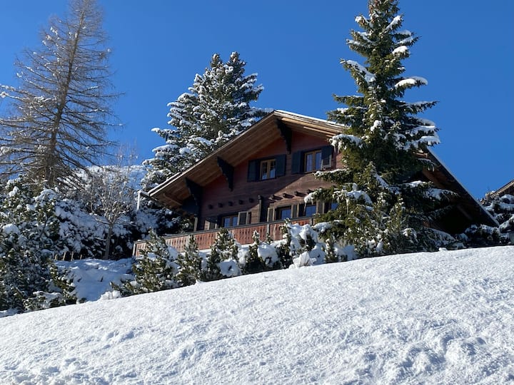 Magnificent 3 Bedroom Apartment In The Swiss Alps - Leysin