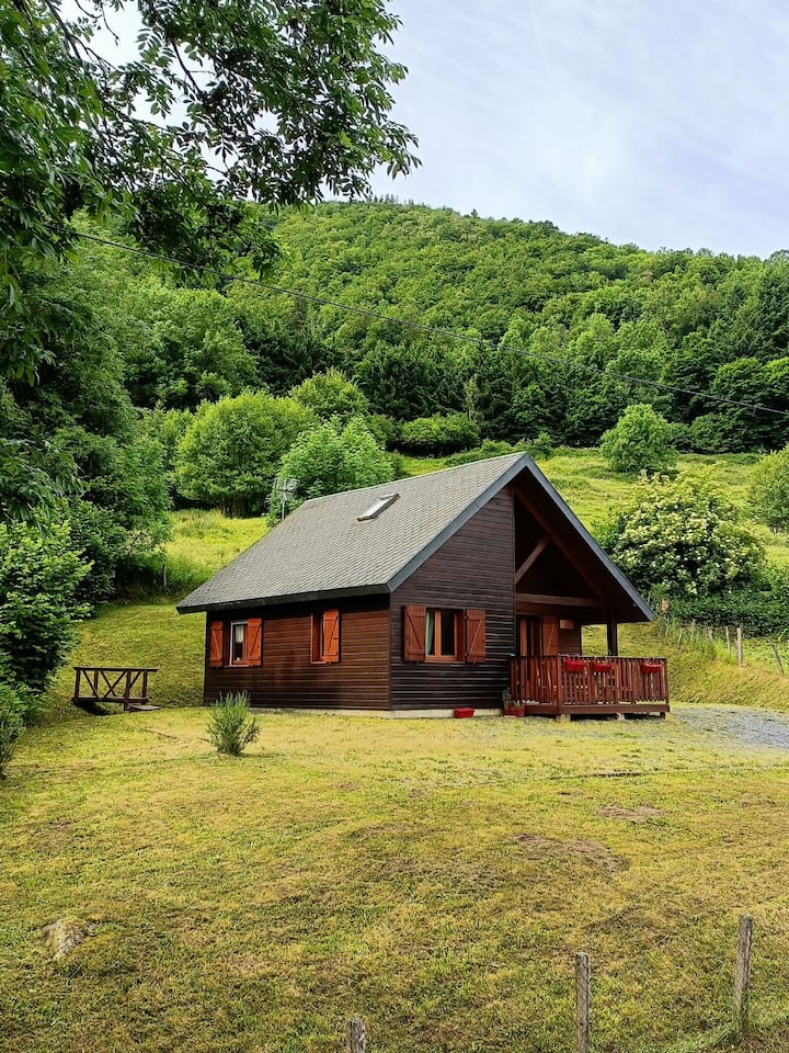 Chalet Aux Reflets Des Montagnes - Auvergne