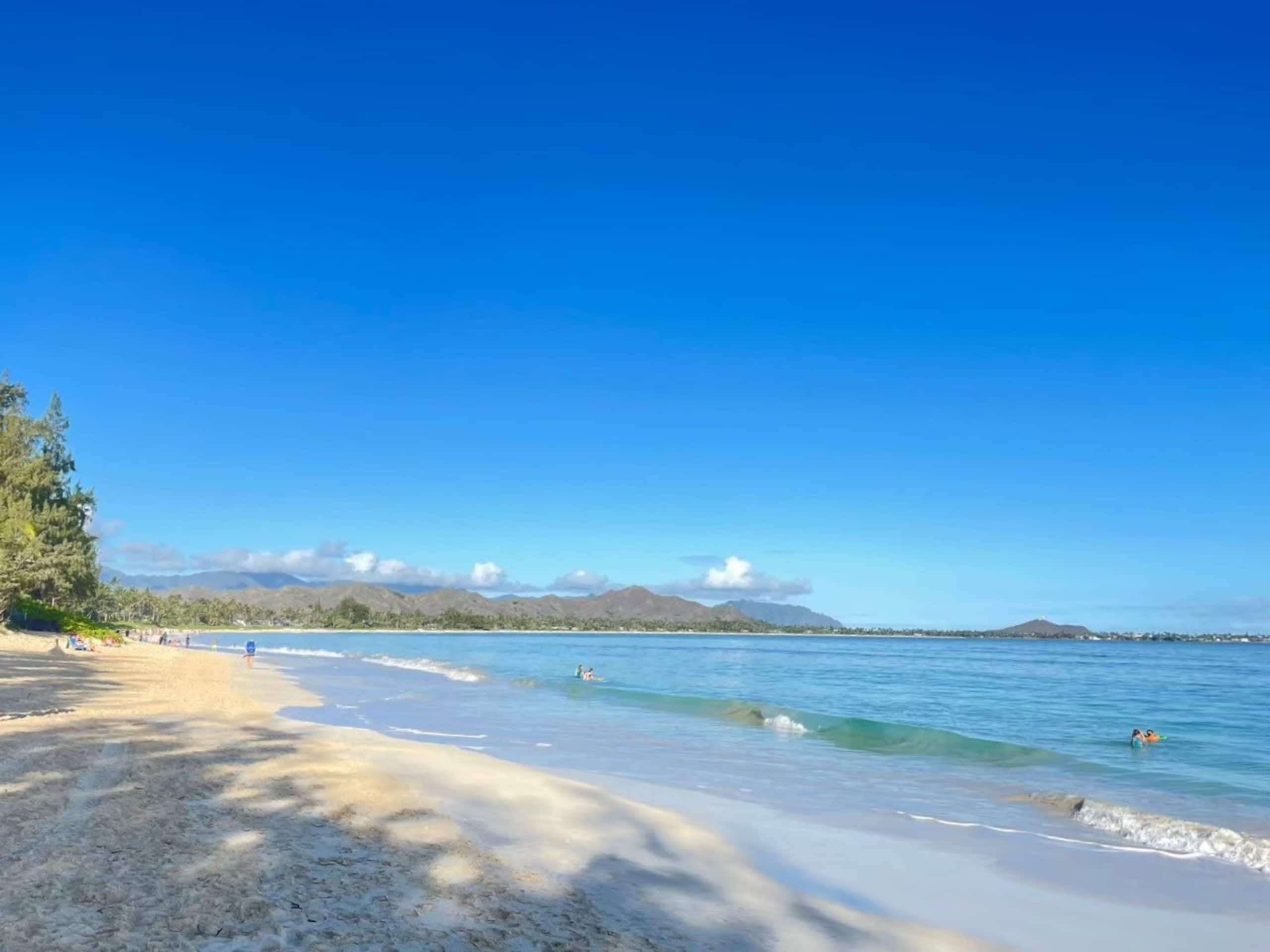 Condo in Honolulu · ★4.76 · 1 bedroom · 1 bed · 1 bath - Image 33