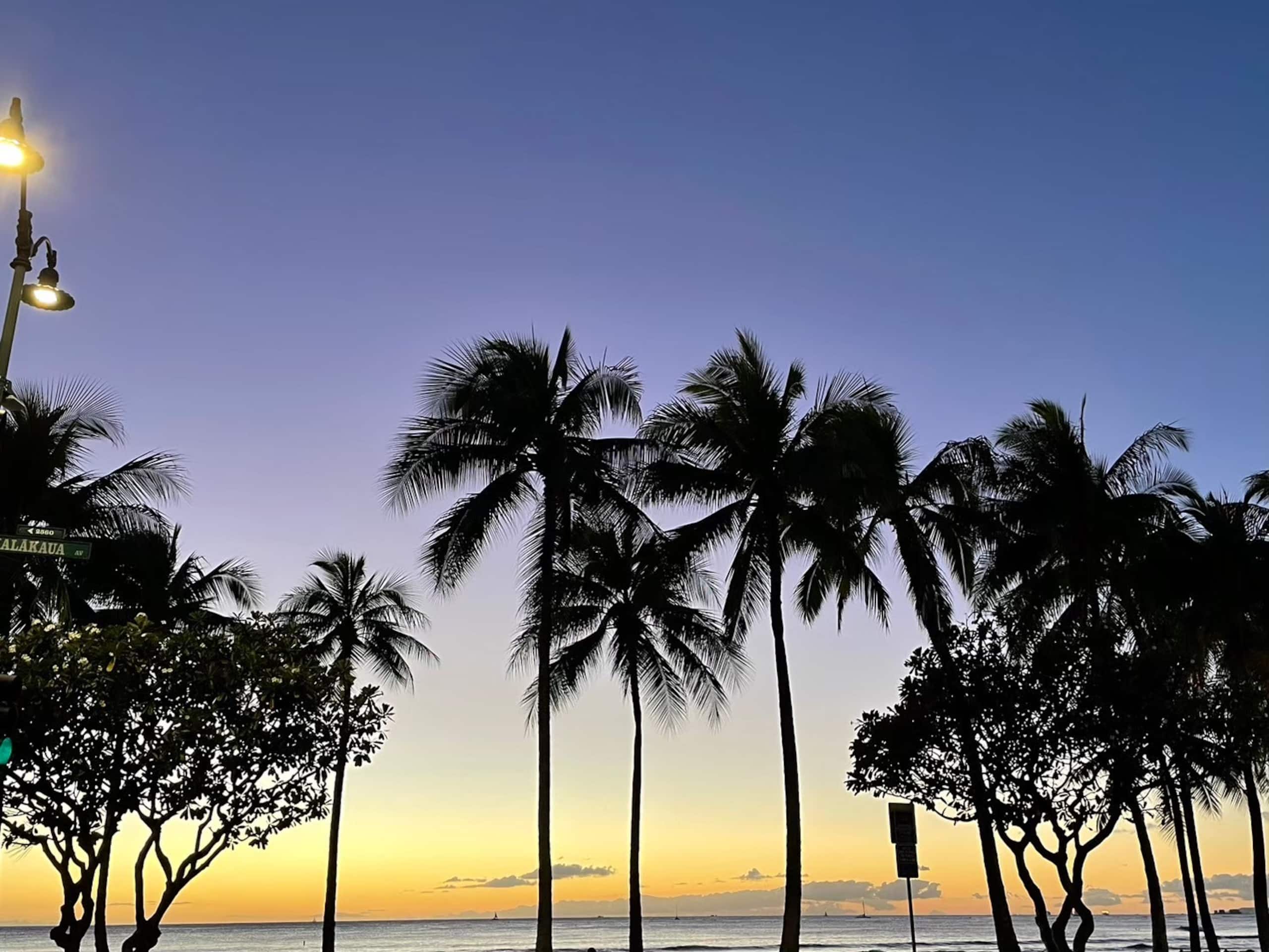 Condo in Honolulu · ★4.76 · 1 bedroom · 1 bed · 1 bath - Image 34